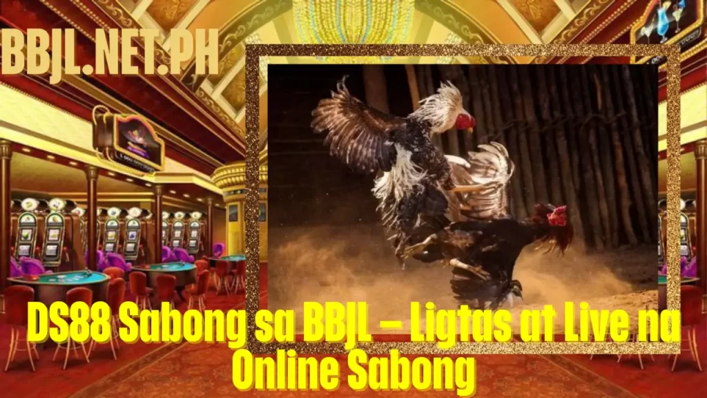 DS88 Sabong sa BBJL – Ligtas at Live na Online Sabong